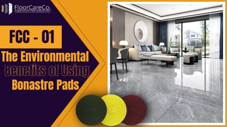 Bonastre-Steel-Wool-Pad-1 Bonastre-Steel-Wool-Pad-1