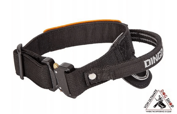 Dingo_20Gear_20Cobra_20Collar_20With_20Handle-1 Dingo_20Gear_20Cobra_20Collar_20With_20Handle-1