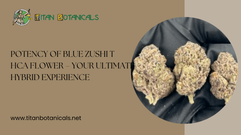 Potency-of-Blue-Zushi-THCa-Flower-–-Your-Ultimate-Hybrid-Experience Potency-of-Blue-Zushi-THCa-Flower-–-Your-Ultimate-Hybrid-Experience