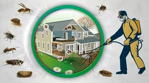 i_id7b6692819a0a10ea78197810faf88128beffb3b8-1159 i_id7b6692819a0a10ea78197810faf88128beffb3b8-1159