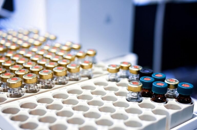 julia-koblitz-6u8SbtZ0q1c-unsplash julia-koblitz-6u8SbtZ0q1c-unsplash