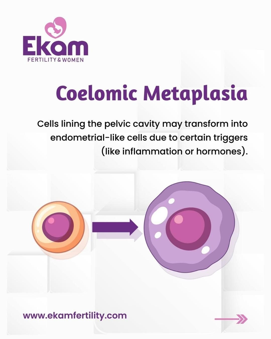 Advanced PGD & PGS Testing in Hyderabad – Ensuring Healthy Embryo Selection at Ekam Fertility