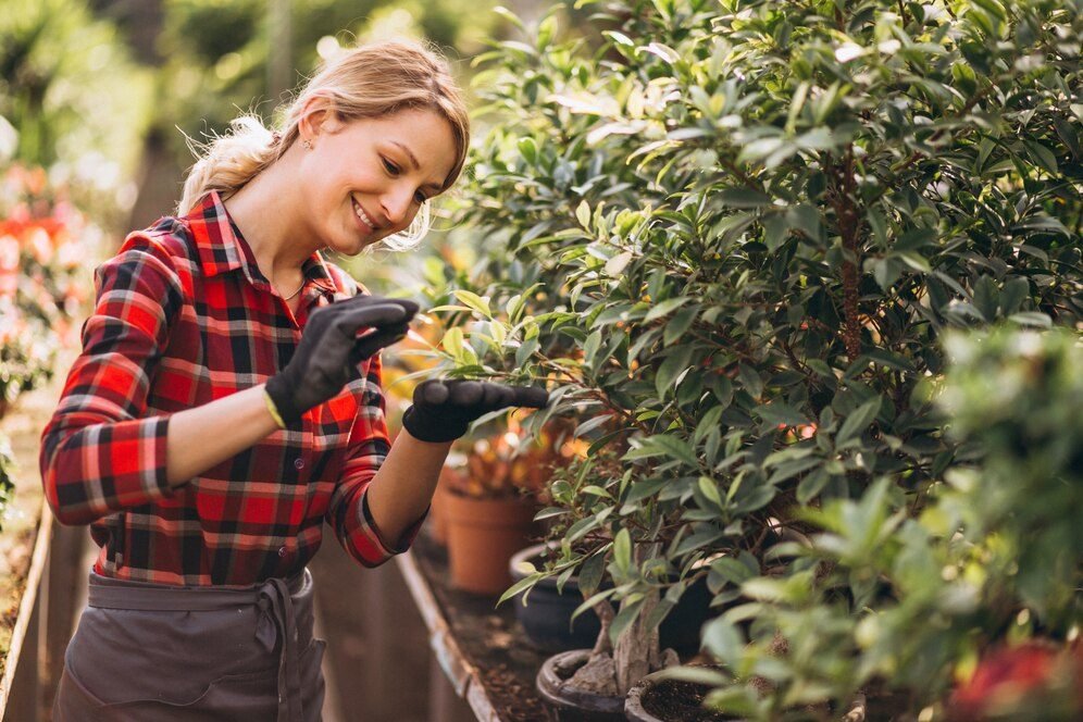 Seasonal Tree Maintenance in Sydney: Expert Tips for Healthy Growth in Every Weather Cycle