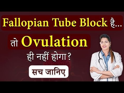 Aasha Ayurveda’s Holistic Approach to Parenthood: Fertility Treatment in Pune