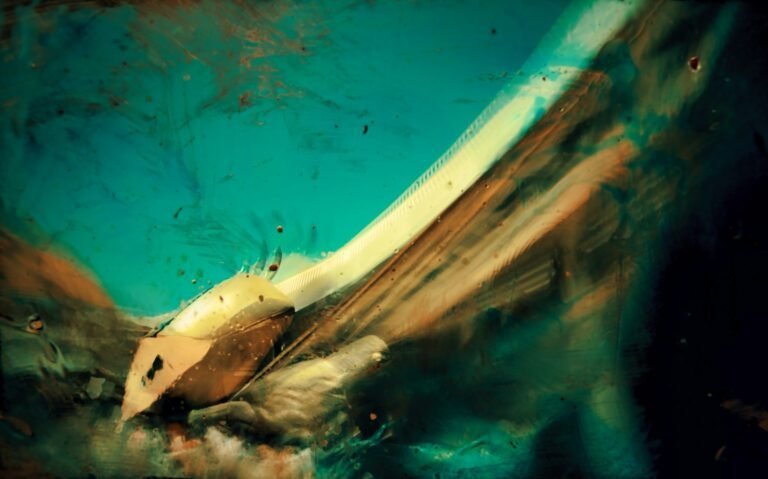 Surreal-dark-art Surreal-dark-art